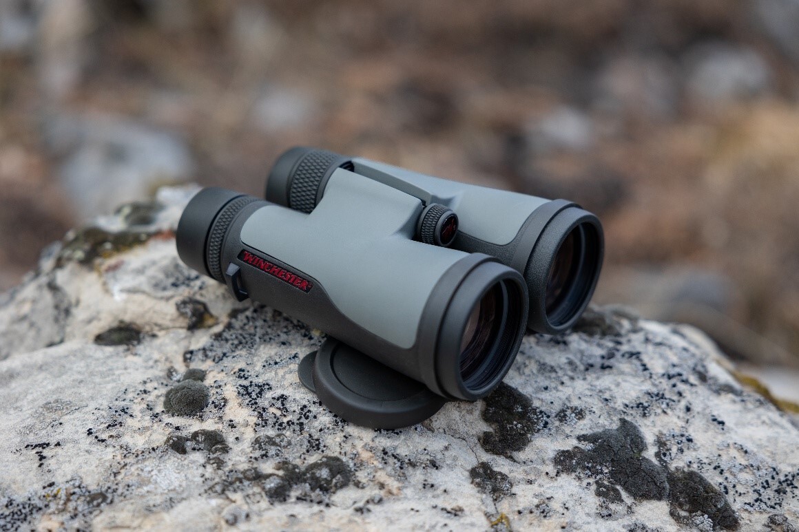 Best Compact Binoculars for Birding in 2026: AI-Powered Top Picks for Portability and Clarity