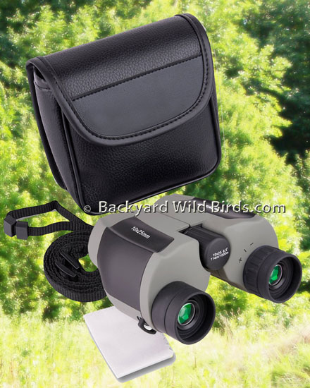 ’s Compact Binoculars for Birding