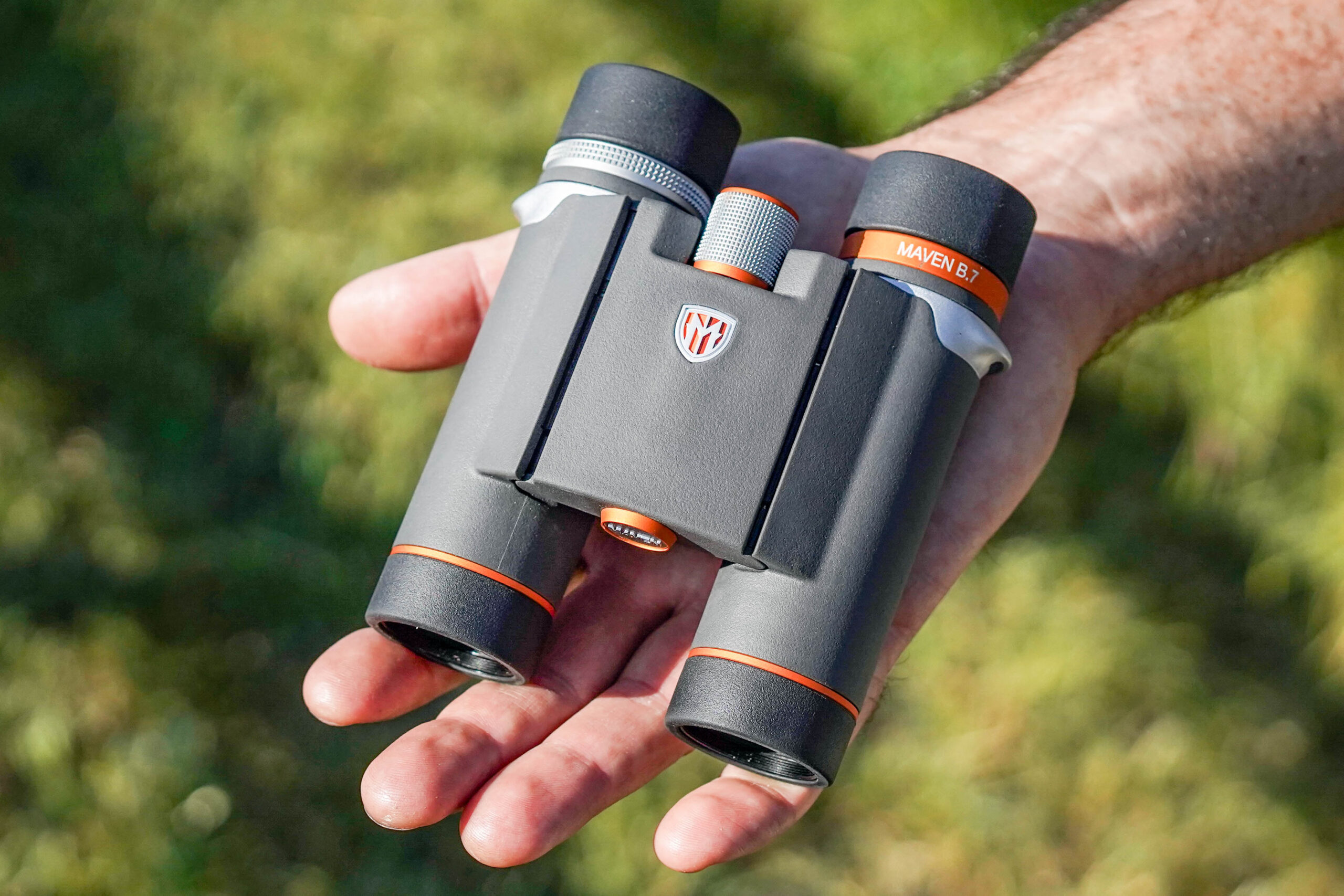 Best Compact Binoculars of 2026: Top Picks for Birding and Travel