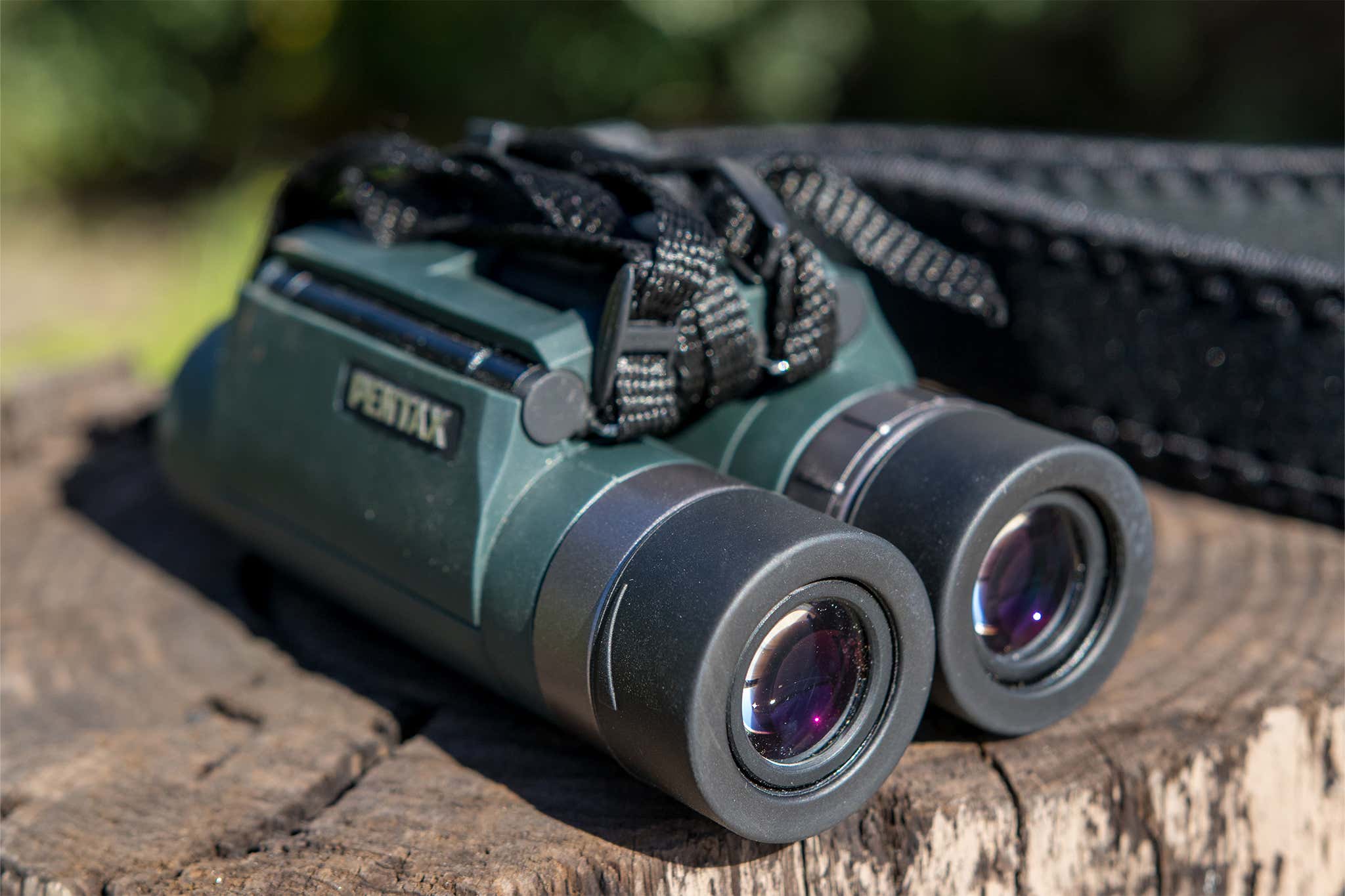 Best Binoculars for Birding in 2026: AI-Powered Reviews and Top Picks for Every Budget
