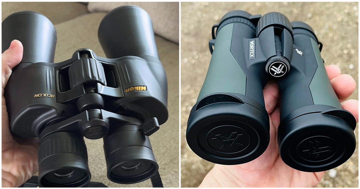 Best Budget Binoculars for Beginners 2026: Expert Reviews Under $100