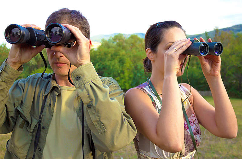 Best 2026 Binoculars for Birding: Top 5 Compact Picks After the New Zeiss & Swarovski Releases