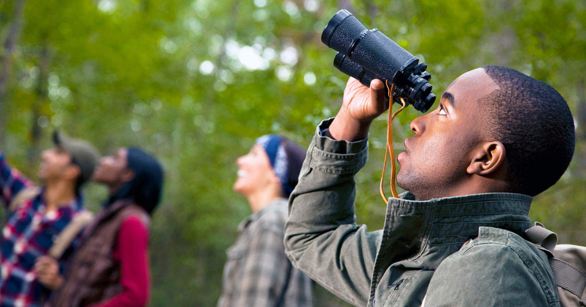 Best Binoculars for Birding: Top Compact Picks for Sharp Viewing