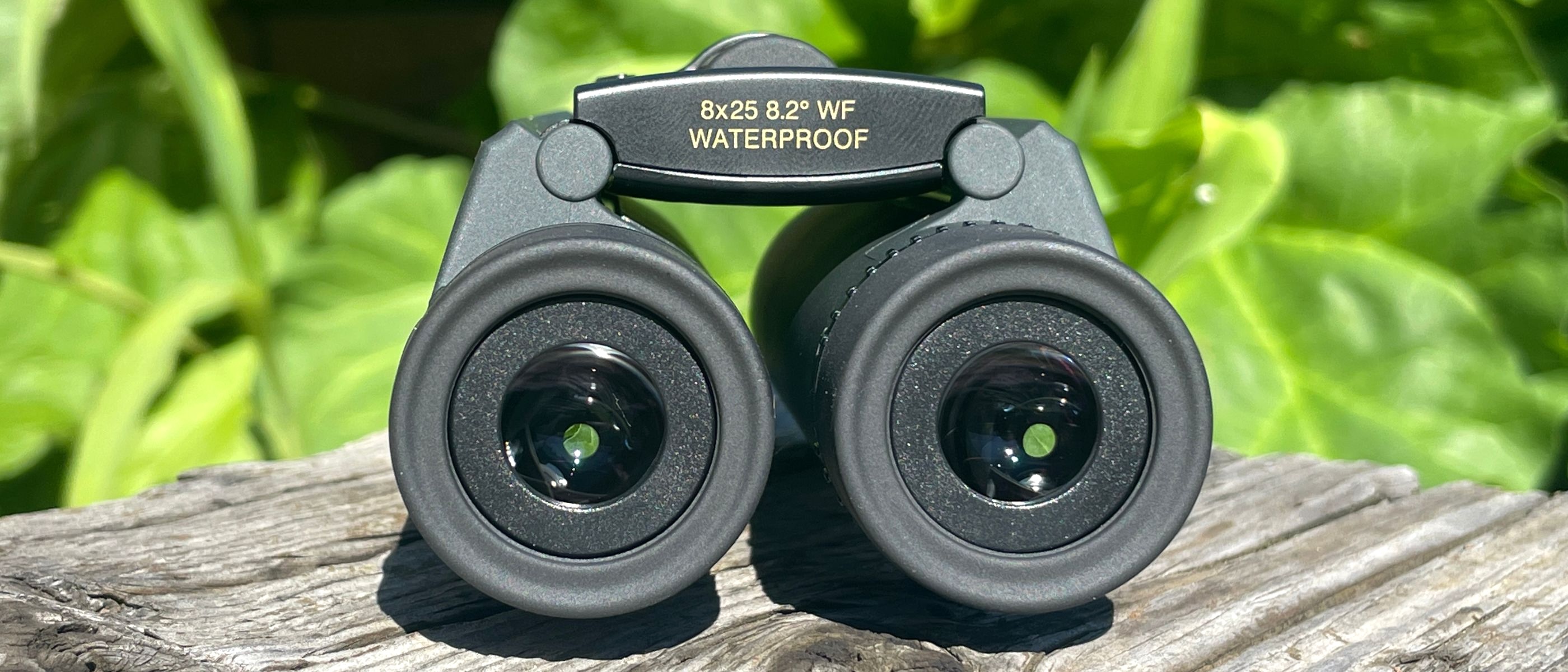 Compact Binoculars