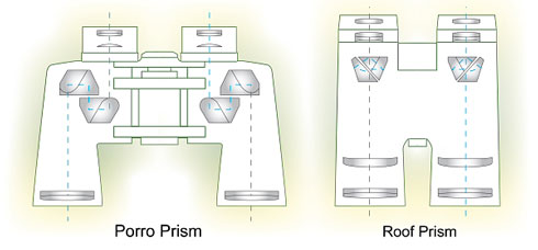 Roof vs. Porro Prism Binoculars: Key Differences for Birding
