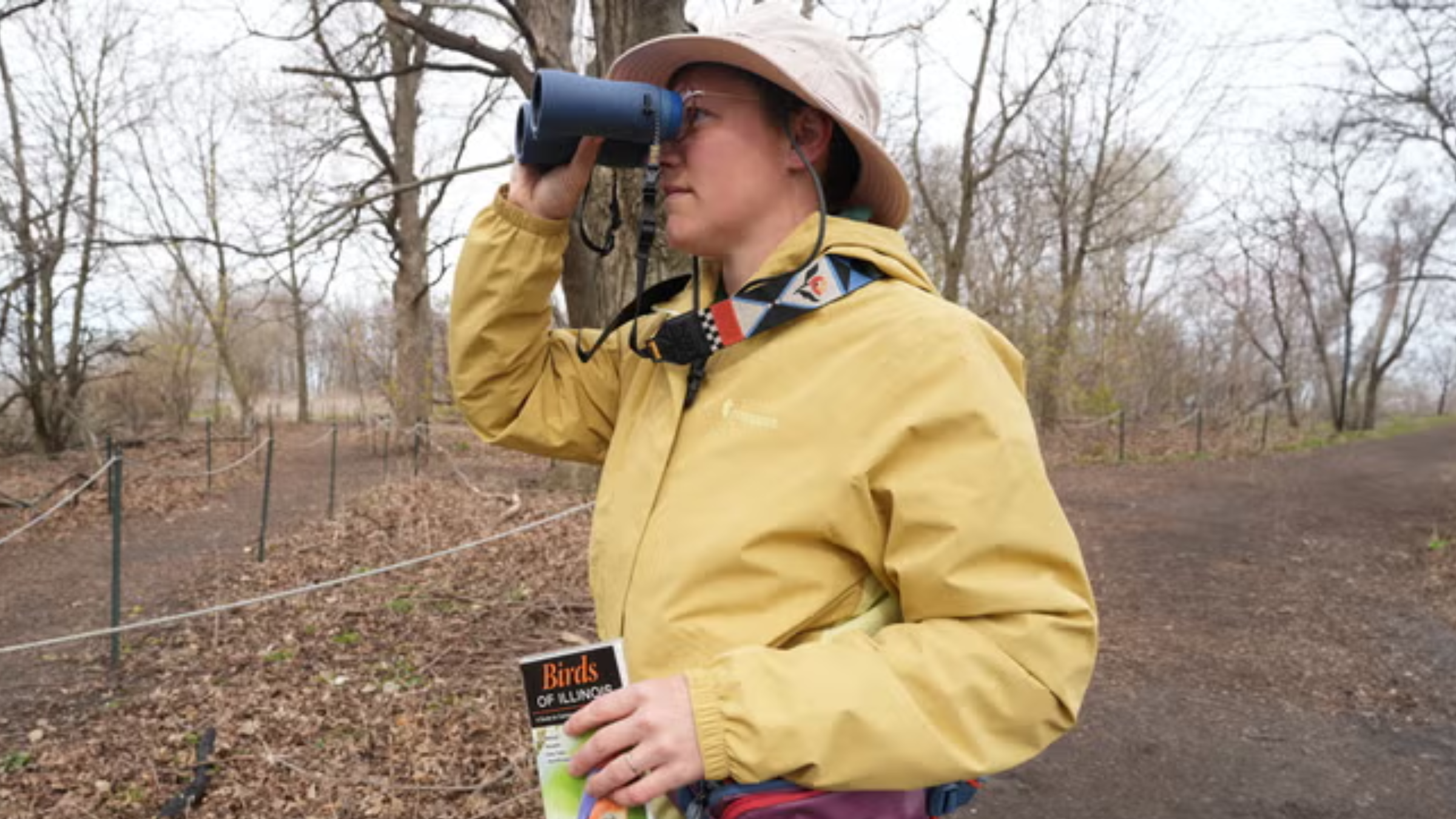 Binoculars for Birding 2026: Expert Reviews of the Latest Models for Spring Migration