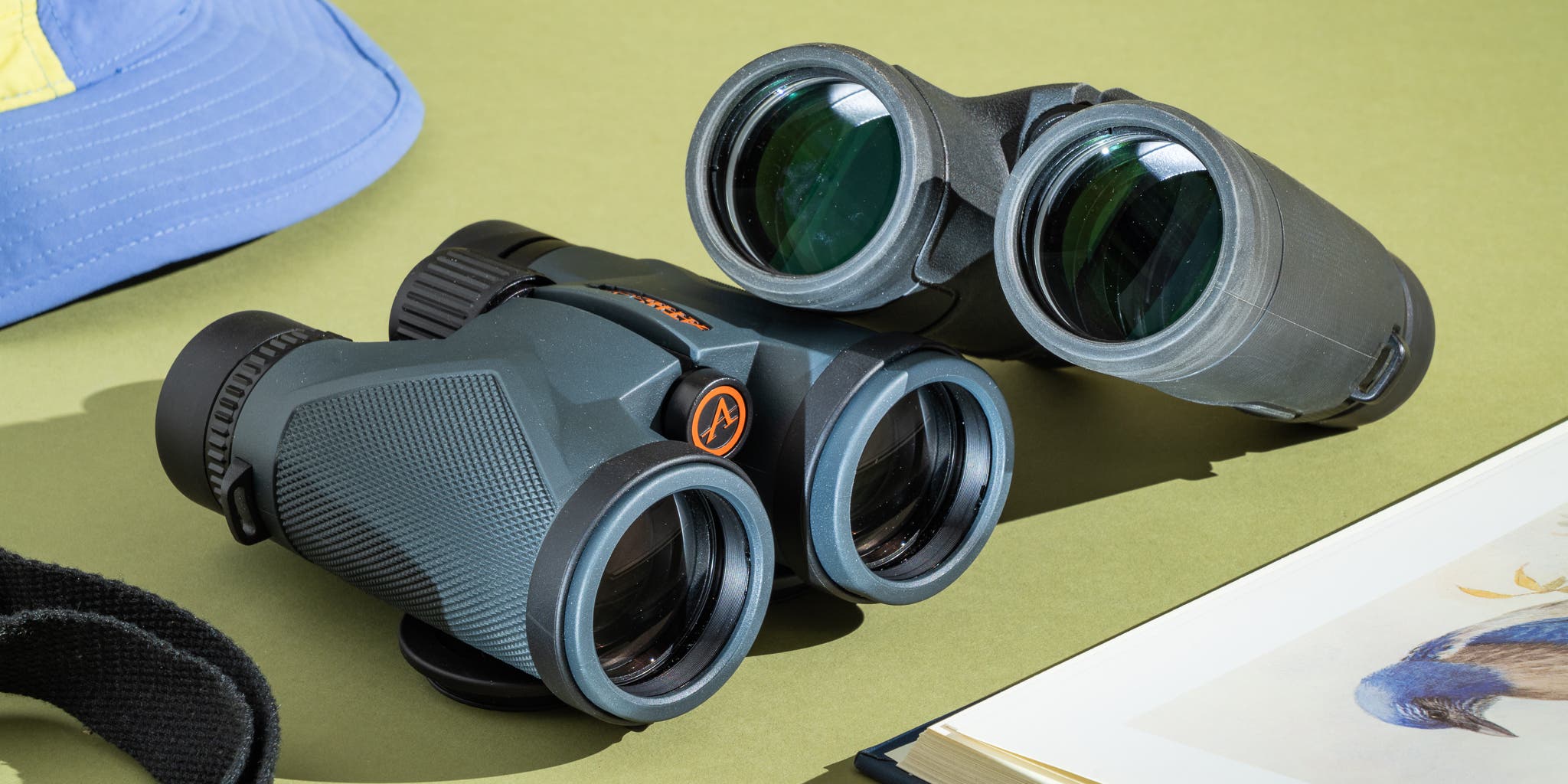 Best Compact Binoculars for Birding in 2026