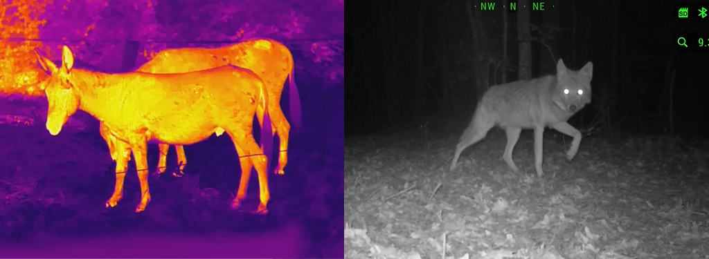 Hunting Binoculars 2026: Thermal vs Traditional Optics - Which Delivers Better Results?
