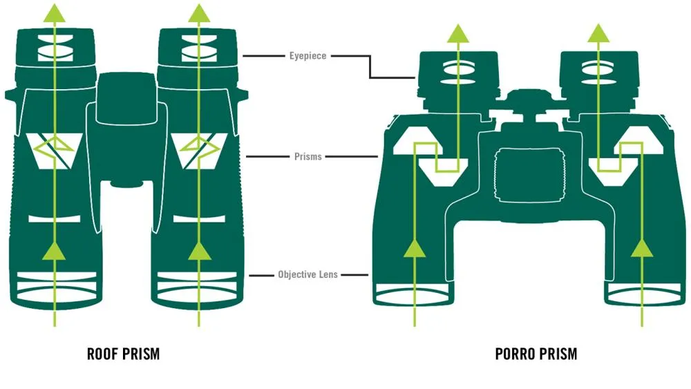 Roof vs. Porro Prism Binoculars: Hunting Optics Comparison