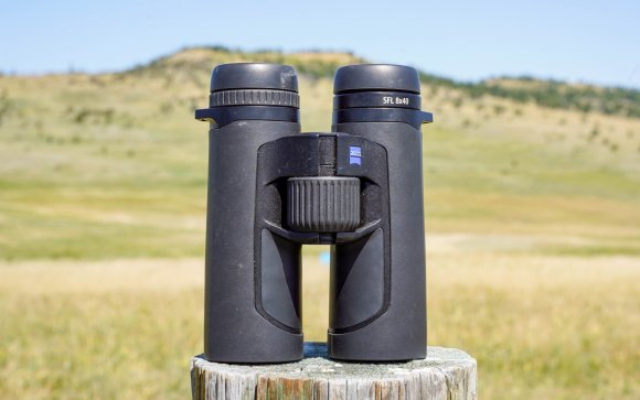 5 Compact Binoculars for Birding in