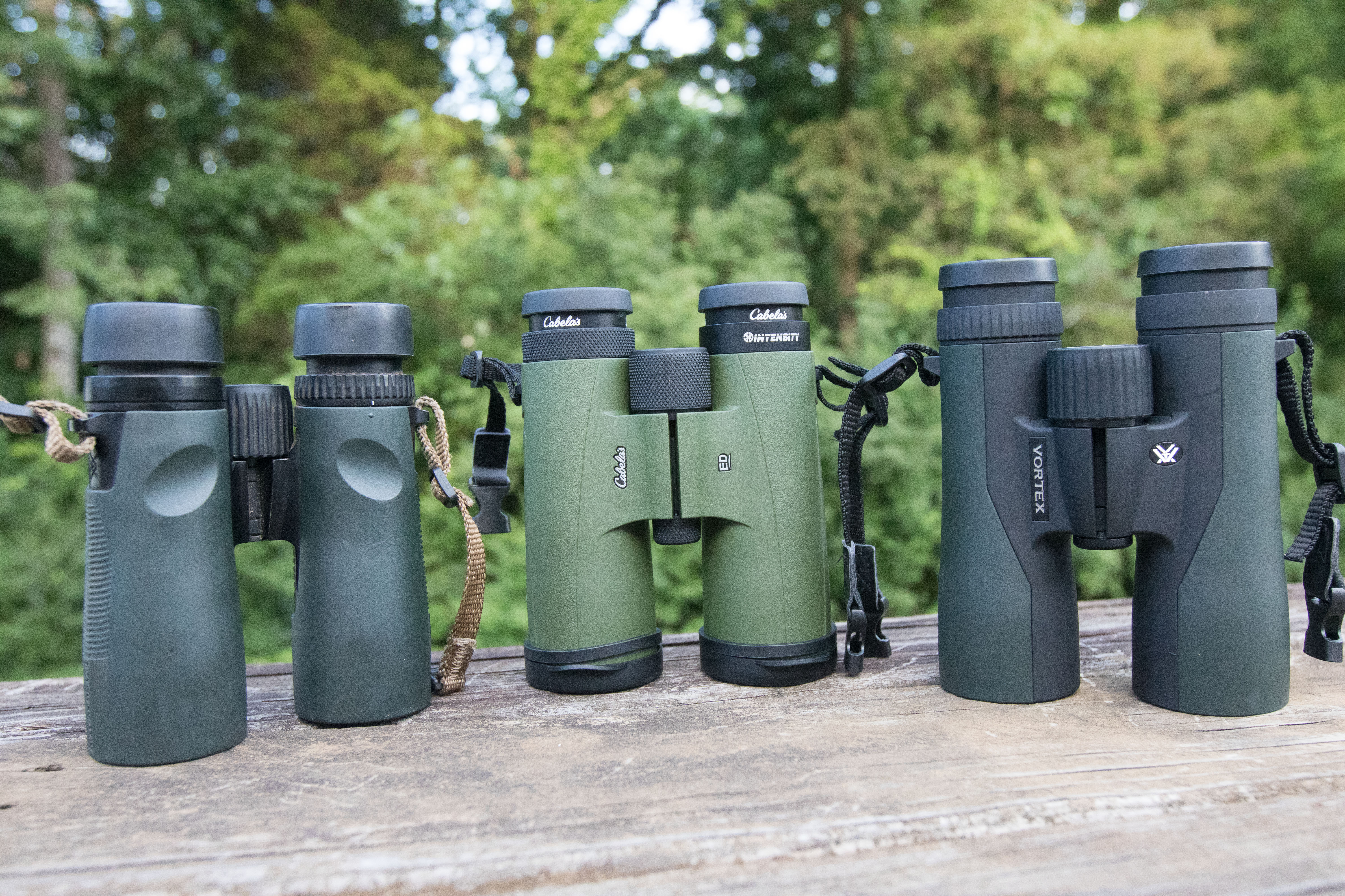 Best Compact Binoculars for Birding and Travel in 2026