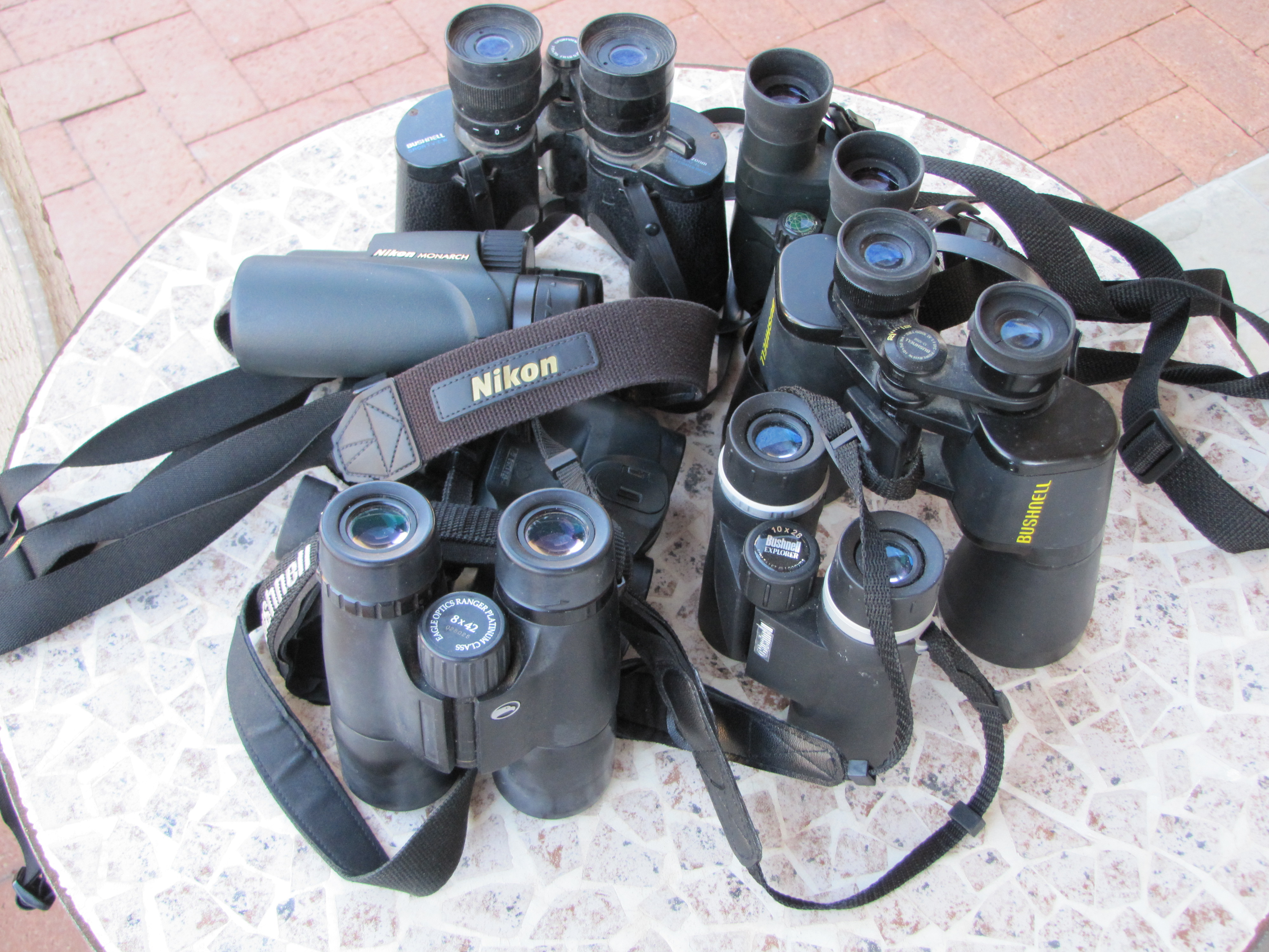 Binoculars for Birding