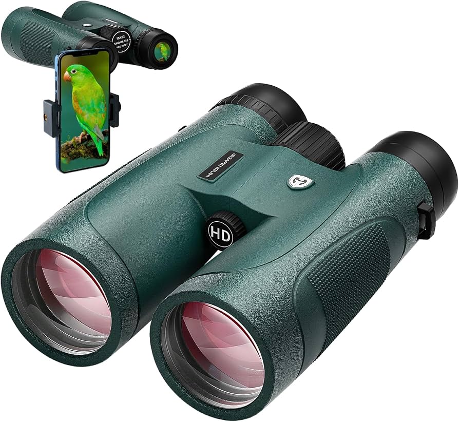 best binoculars upgrade